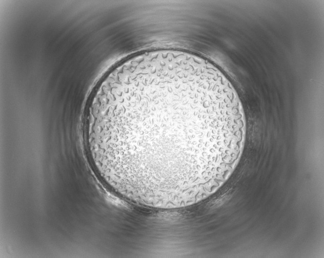 X0000060751094200512011440