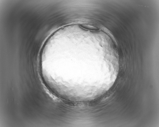 X0000060751099200512011440