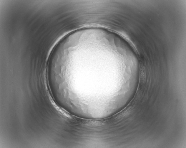 X0000060751100200512011440