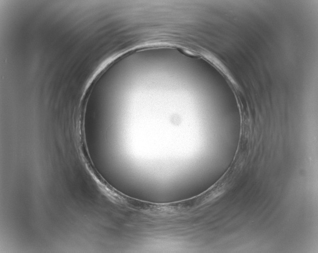 X0000060751101200512011440