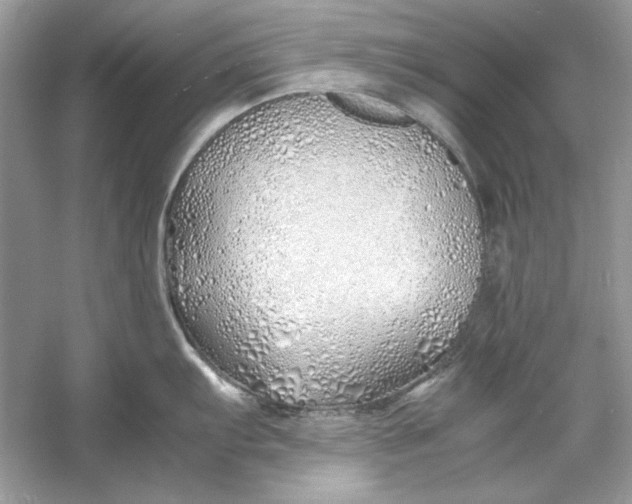 X0000060751103200512011440