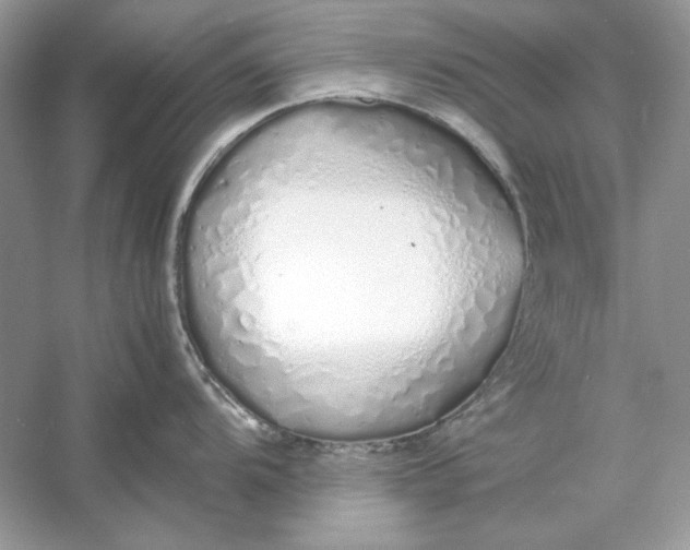 X0000060751104200512011440