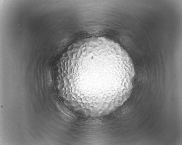 X0000060751106200512011439