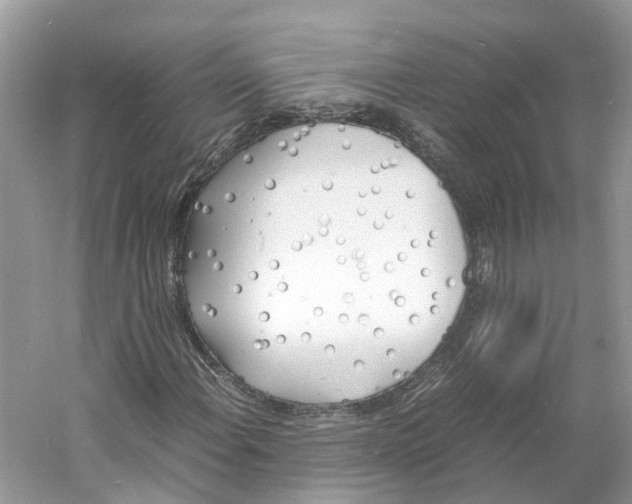 X0000060751108200512011439