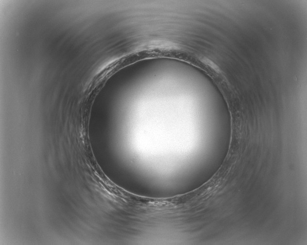 X0000060751112200512011439