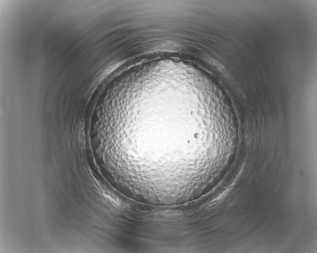 X0000060751113200512011439