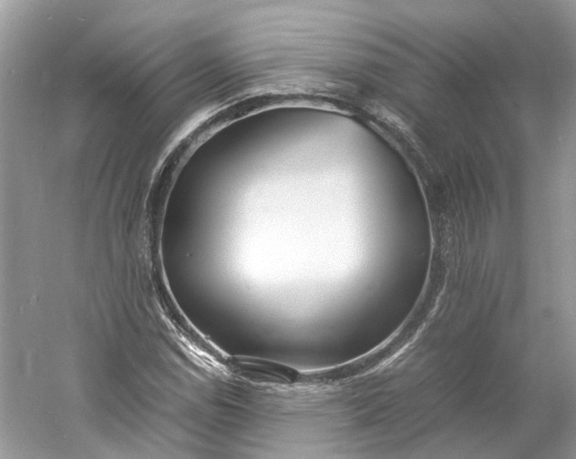 X0000060751114200512011439