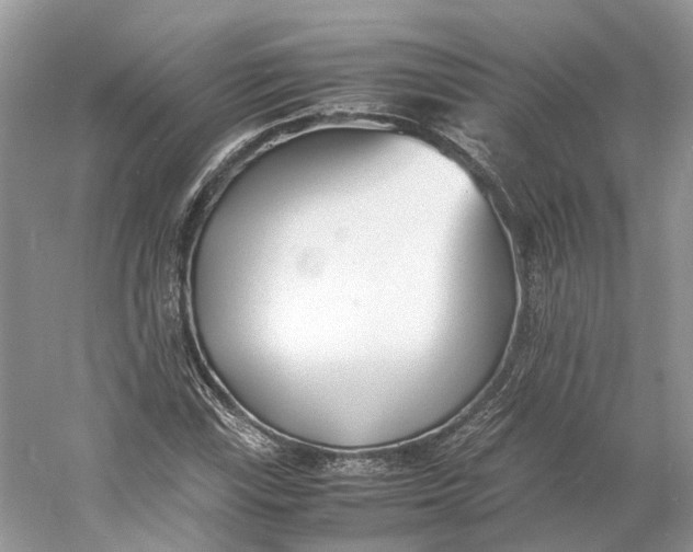 X0000060751115200512011439