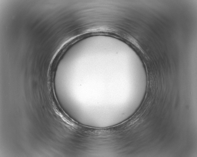 X0000060751116200512011439