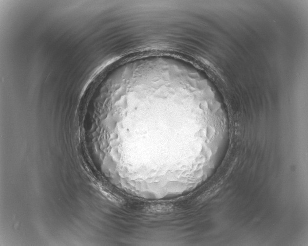 X0000060751117200512011439
