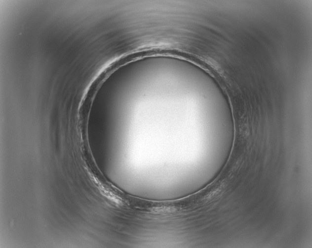 X0000060751118200512011439