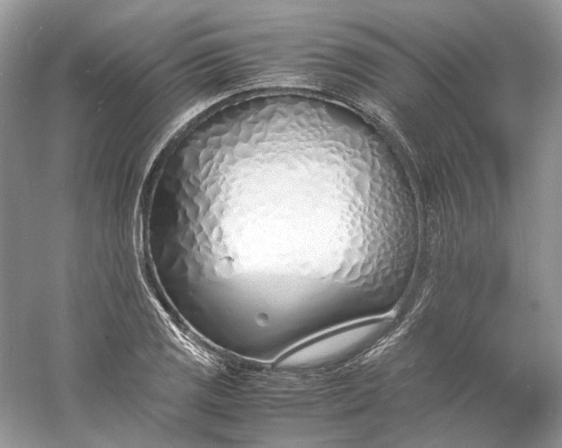 X0000060751125200512011439