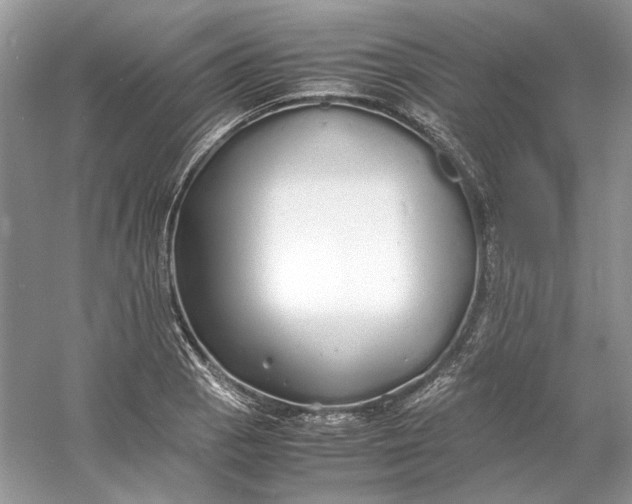 X0000060751129200512011439