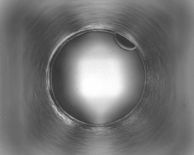 X0000060751132200512011439