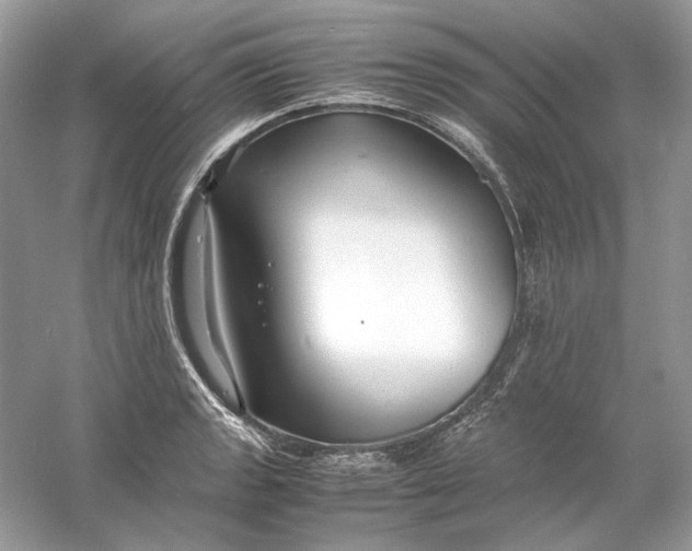 X0000060751133200512011440