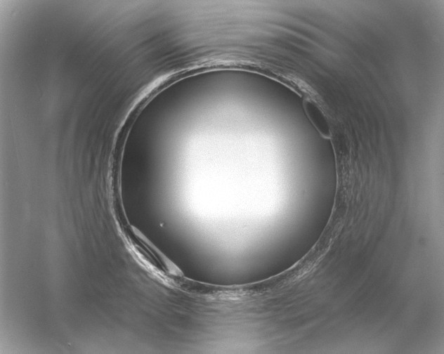 X0000060751134200512011440