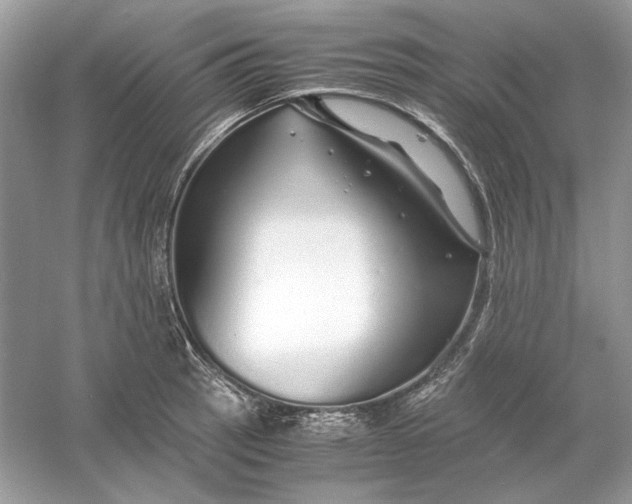 X0000060751137200512011440