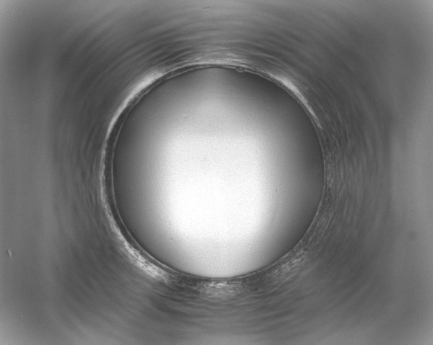 X0000060751139200512011440