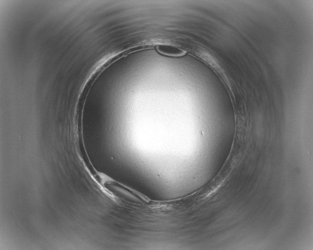 X0000060751141200512011440