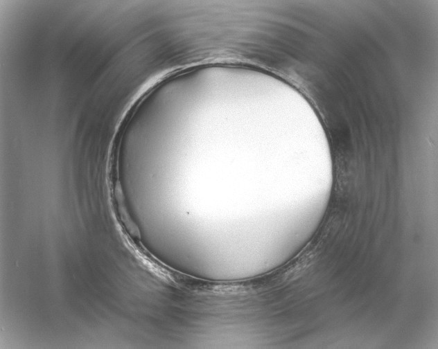 X0000060751142200512011440