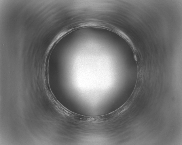 X0000060751146200512011440