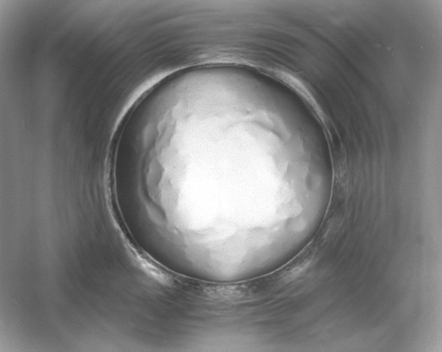 X0000060751149200512011440