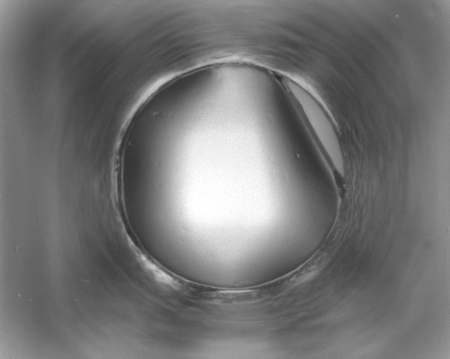 X0000060751151200512011440