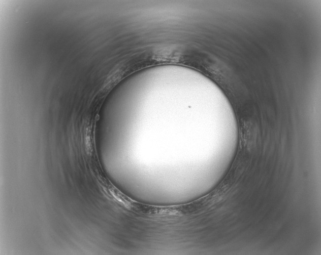 X0000060751154200512011439