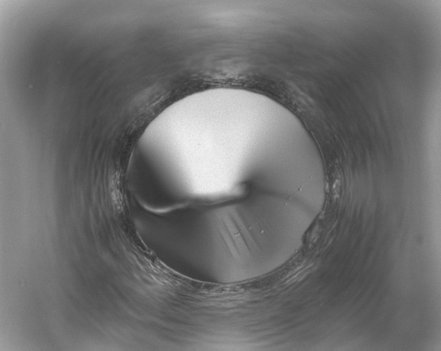 X0000060751156200512011439
