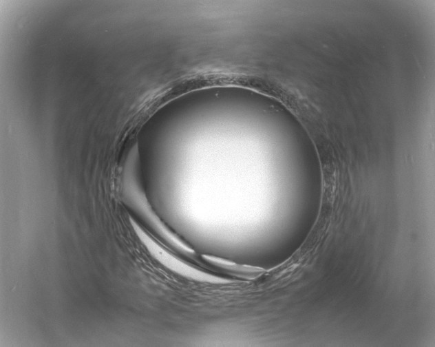 X0000060751157200512011439