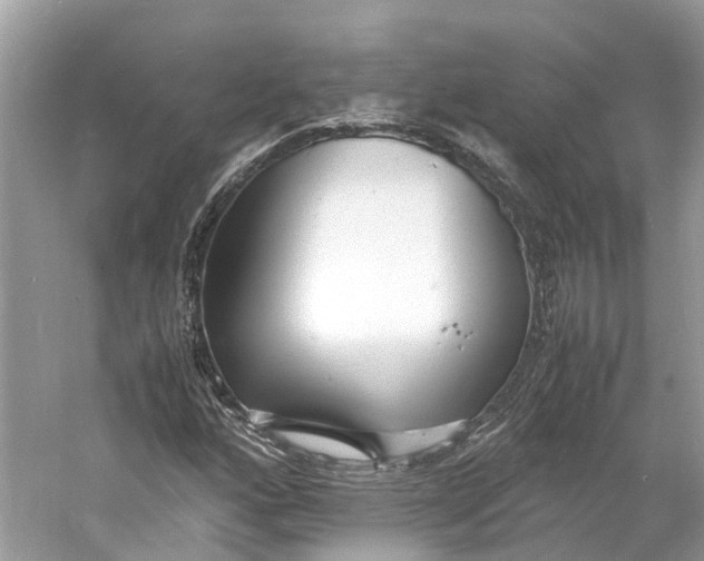 X0000060751160200512011439
