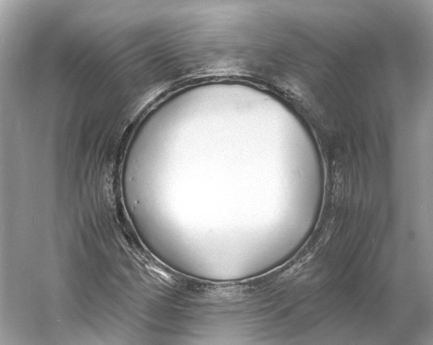 X0000060751162200512011439
