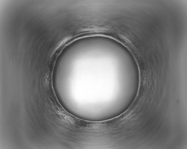 X0000060751163200512011439