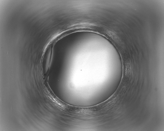 X0000060751164200512011439