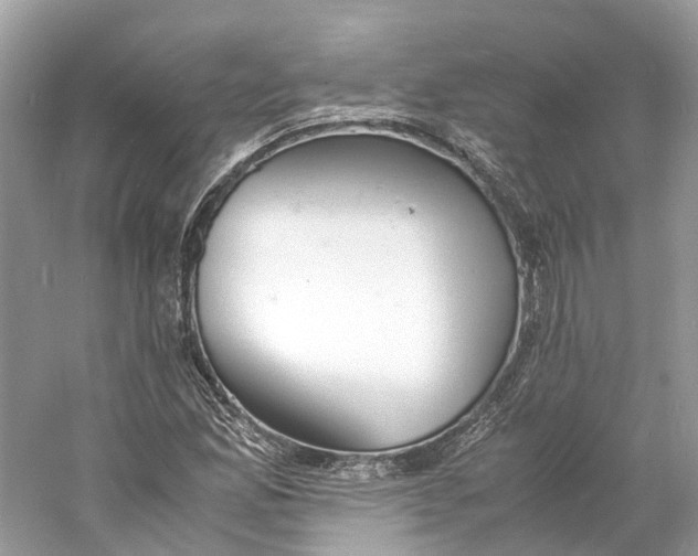 X0000060751165200512011439