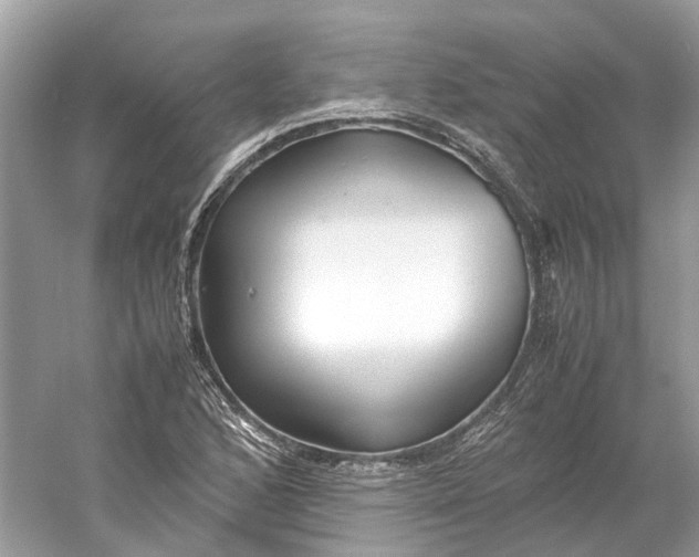X0000060751168200512011439