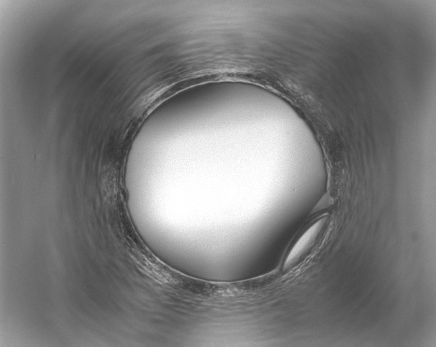 X0000060751169200512011439