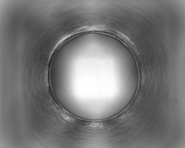 X0000060751174200512011439