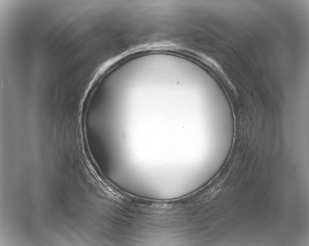 X0000060751176200512011439