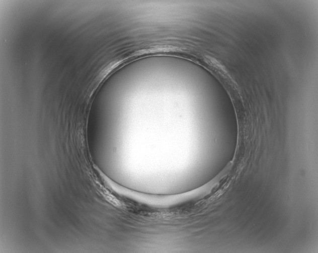 X0000060751177200512011439