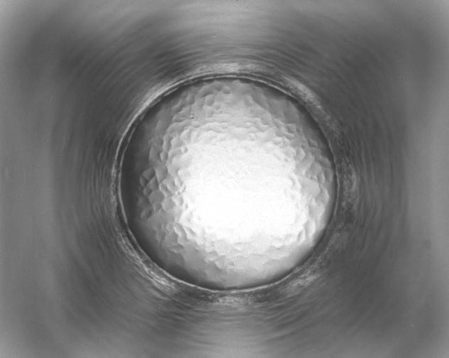 X0000060751178200512011439