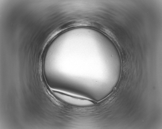 X0000060751179200512011439