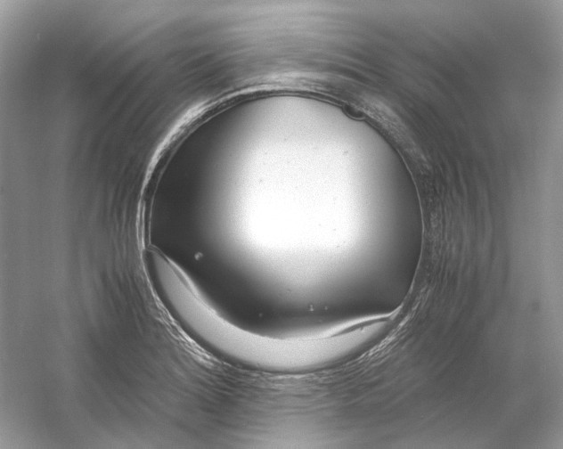 X0000060751180200512011439