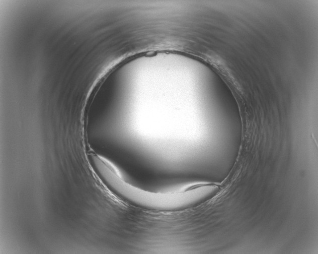 X0000060751184200512011438