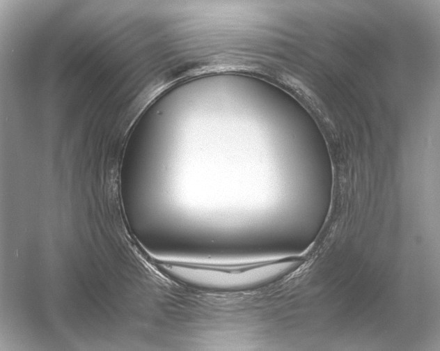 X0000060751185200512011438