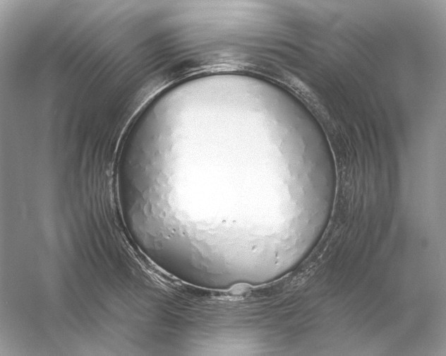 X0000060751186200512011438