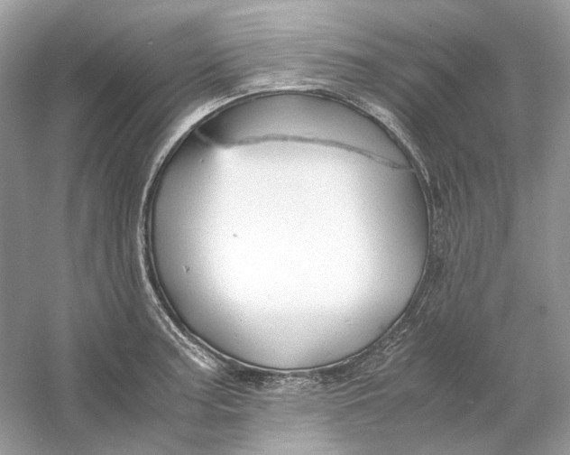 X0000060751187200512011438