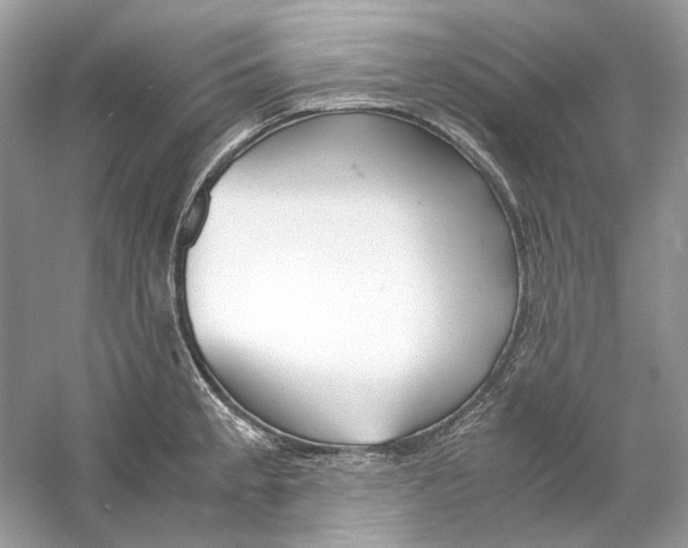 X0000060751189200512011438