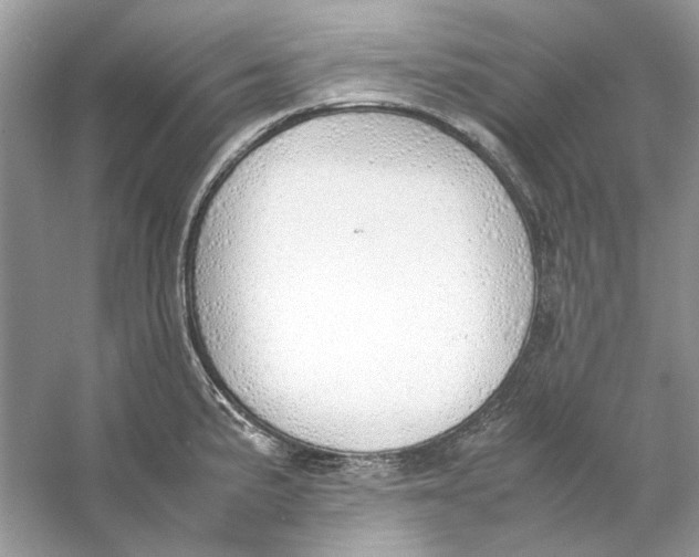 X0000060751191200512011438