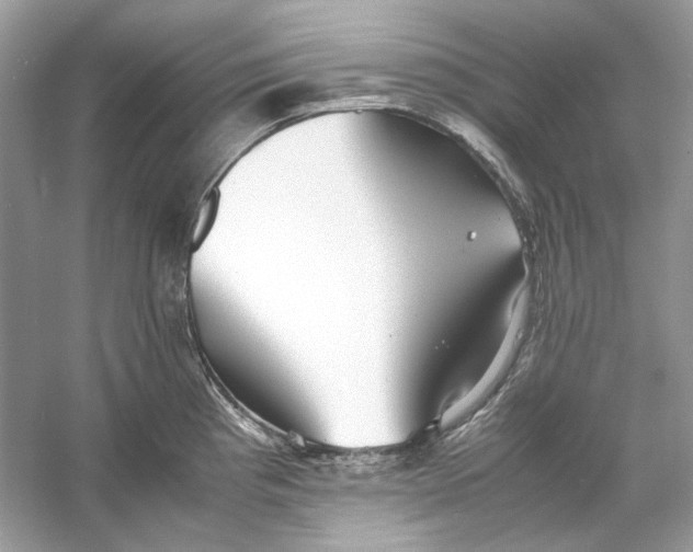 X0000060751193200512011438